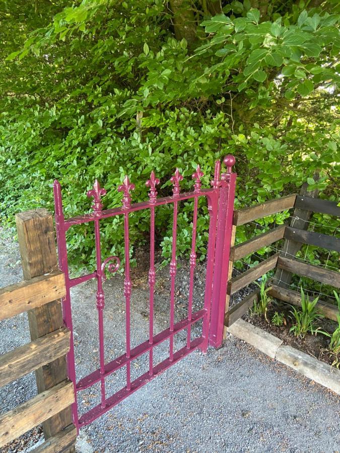 Harrys Place Mullingar Zewnętrze zdjęcie